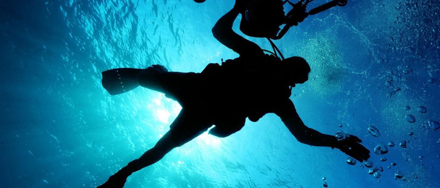 Diving (Ph: Pixabay.com)