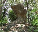 Menhir di Verzi (Ph: Provincia di Savona)