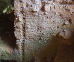 Grotta dei Ciliegi (Ph: Provincia di Savona)