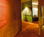Sala del Neolitico, Museo Archeologico del Finale (Ph: Museo Archeologico del Finale)