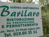 Barilaro (Ph: Provincia di Savona)